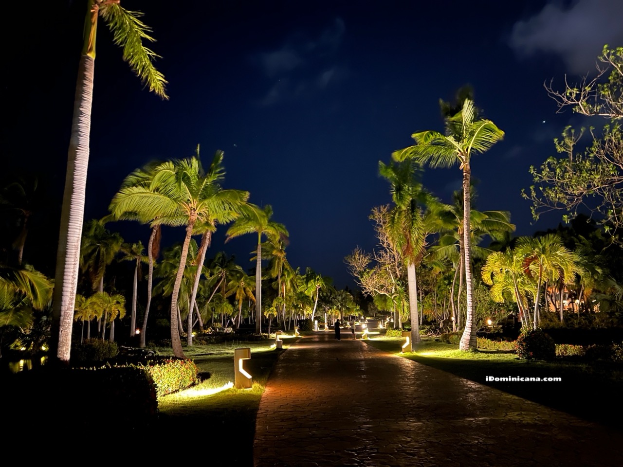Чем отличаются отели Melia Caribe beach и Melia Punta Cana beach в Доминикане