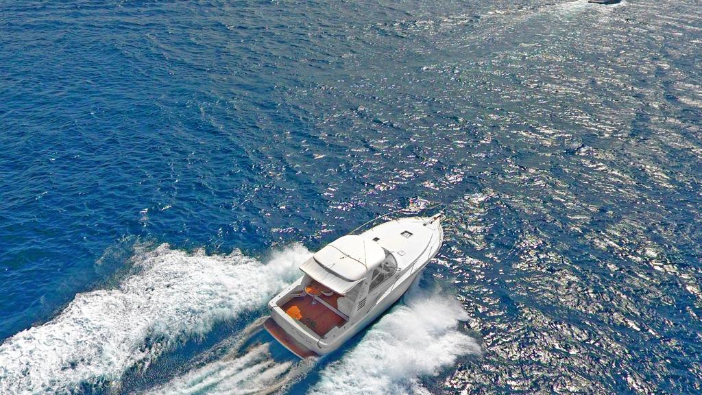 Яхта Sea Ray 37 ft в Доминикане (аренда): Карибское море