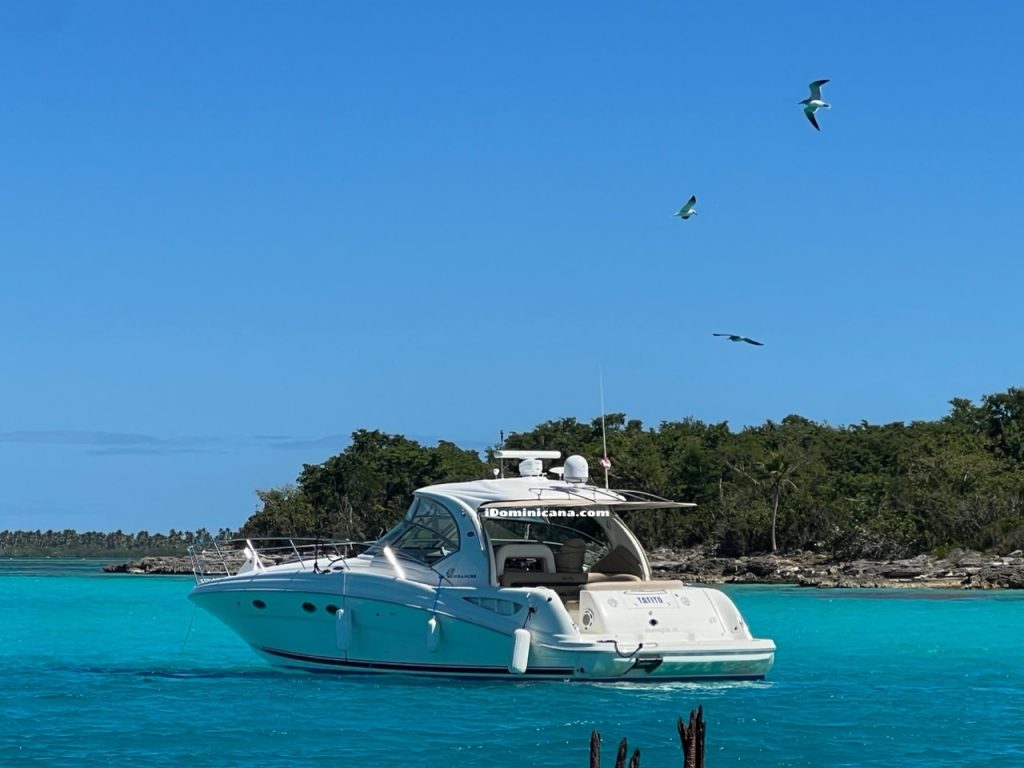 Доминикана: яхта в аренду - Sea Ray 42 ft