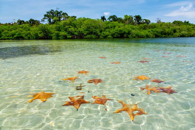 National Geographic включил пляж Доминиканы в ТОП-24 самых красивых мест на Карибах