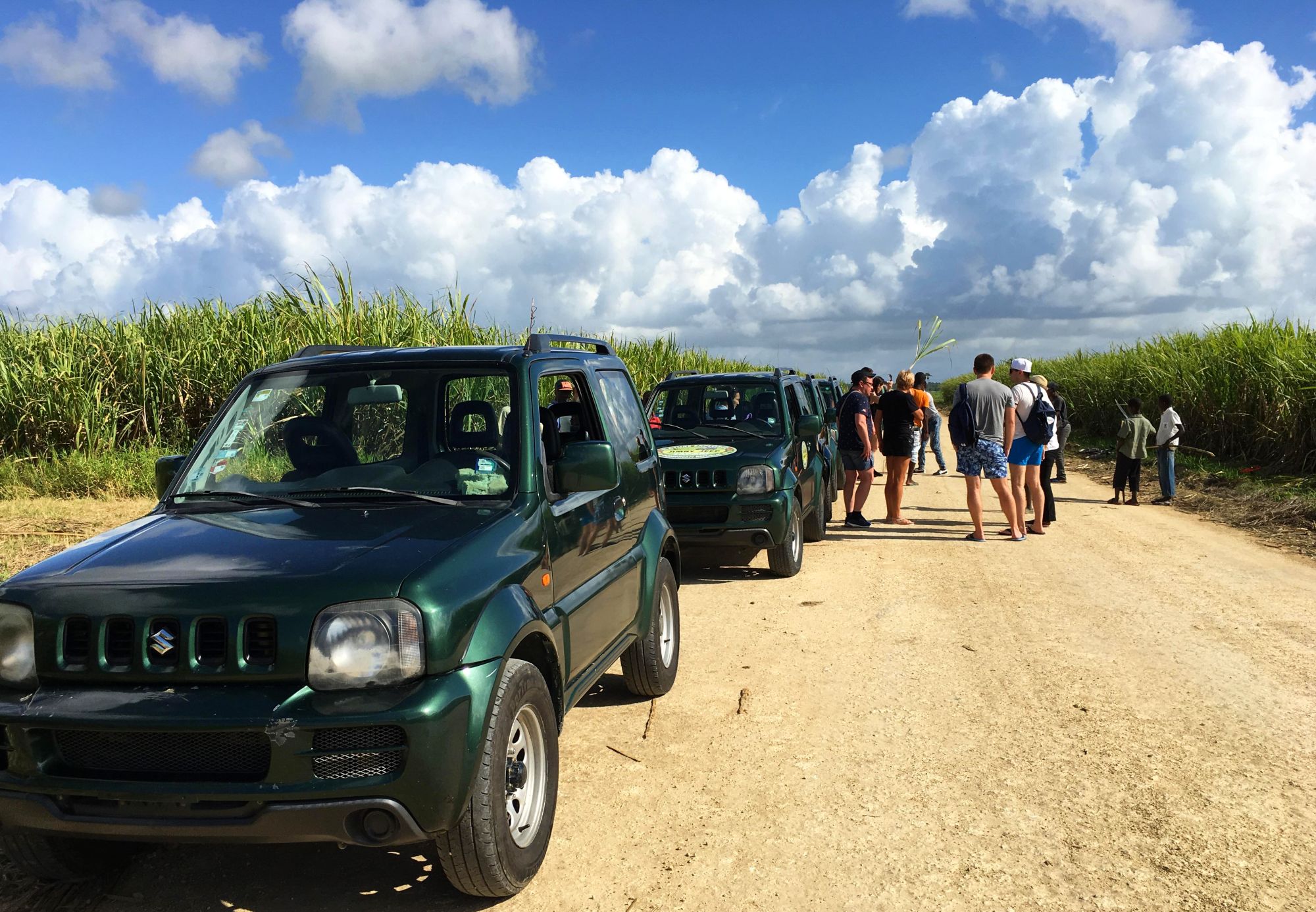 Как проходит экскурсия джип-сафари в Доминикане. Видео