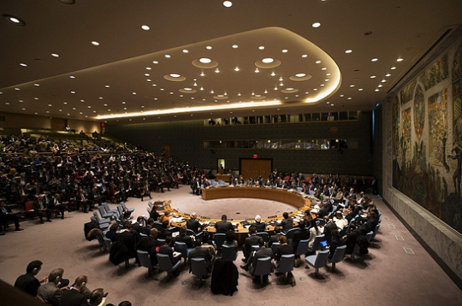 Доминиканская республика вошла в Совет Безопасности ООН
