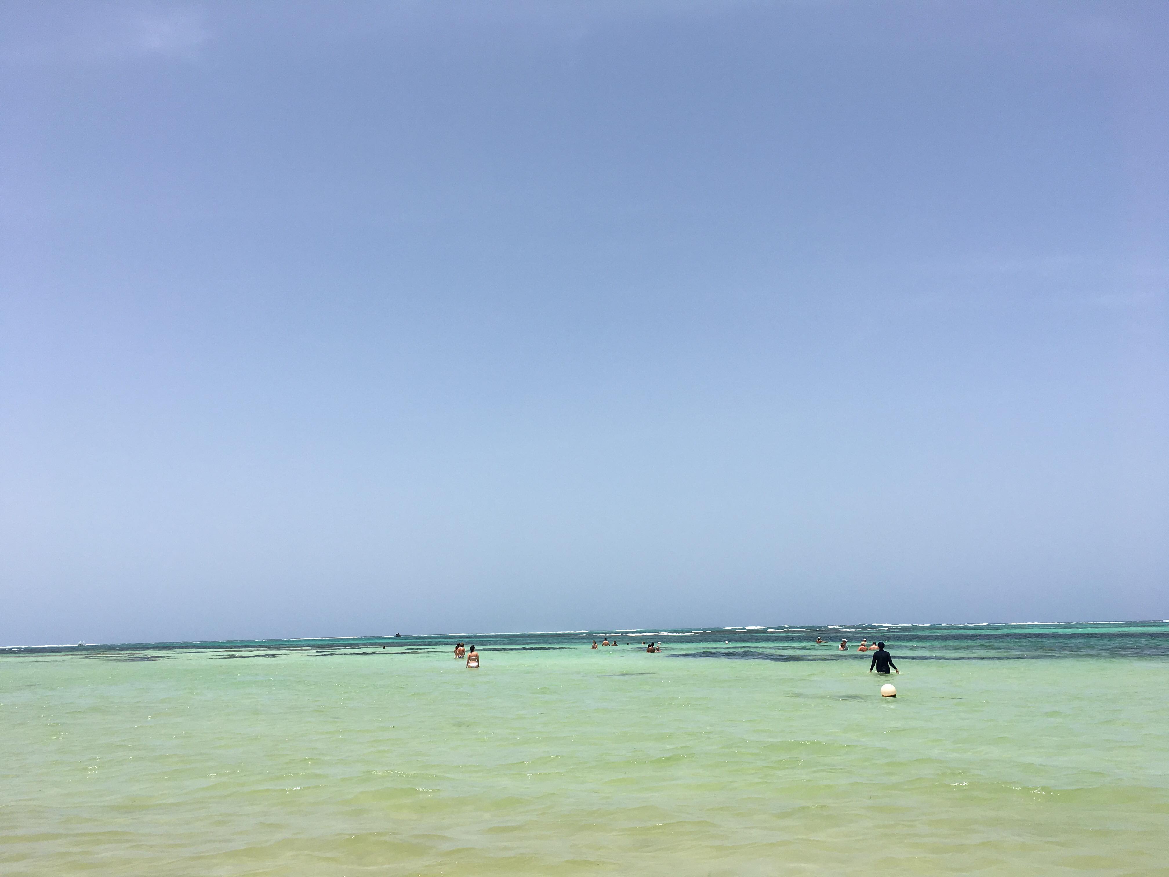 Пляжи Пунта-Кана атаковали водоросли. Фото