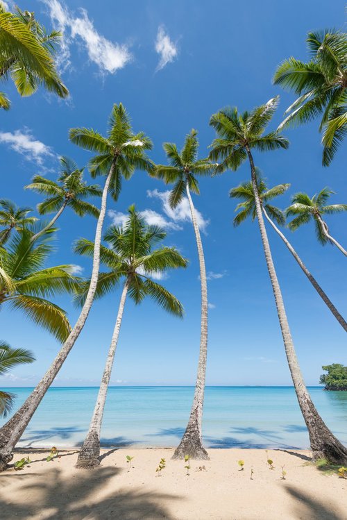 Playa Bonita в Доминикане признали одним из лучших пляжей Западного полушария
