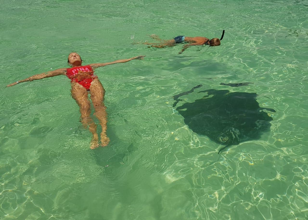 Как проходит экскурсия купание с акулами и скатами в Доминикане