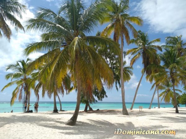 Саона эксклюзив iDominicana.com Саона эксклюзив iDominicana.com