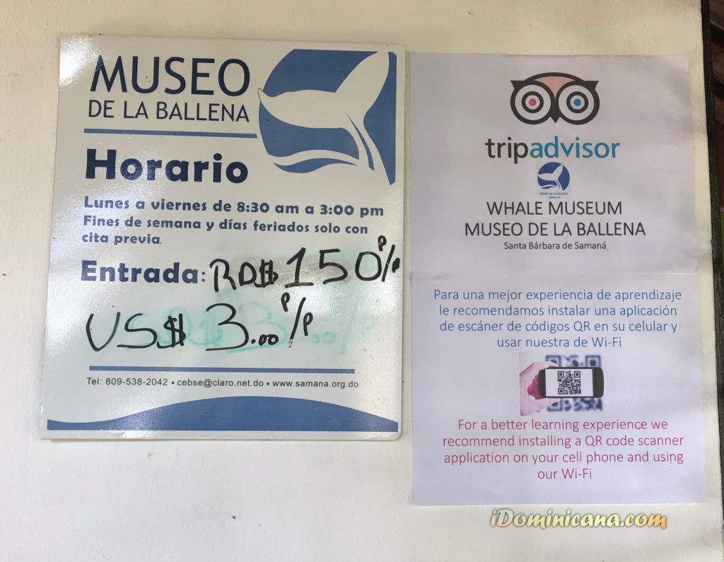 Музей китов в Доминикане – АйДоминикана