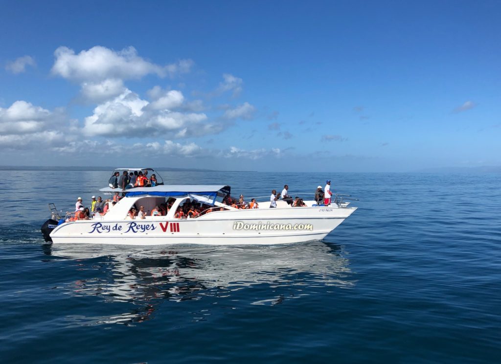 Киты в Доминикане: как проходит экскурсия на китов. Фото. Видео 