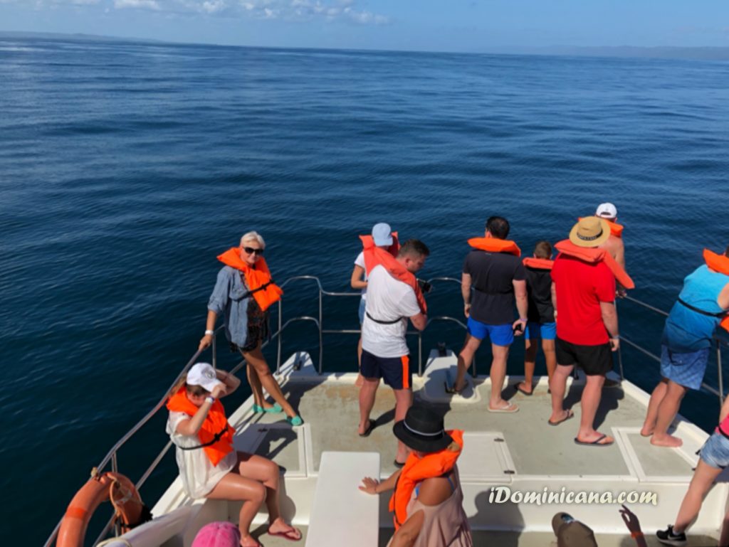 Киты в Доминикане: как проходит экскурсия на китов. Фото. Видео 