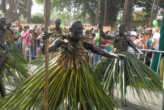 Карнавал в Доминикане парад костюмов и дьявольские танцы айДоминикана 