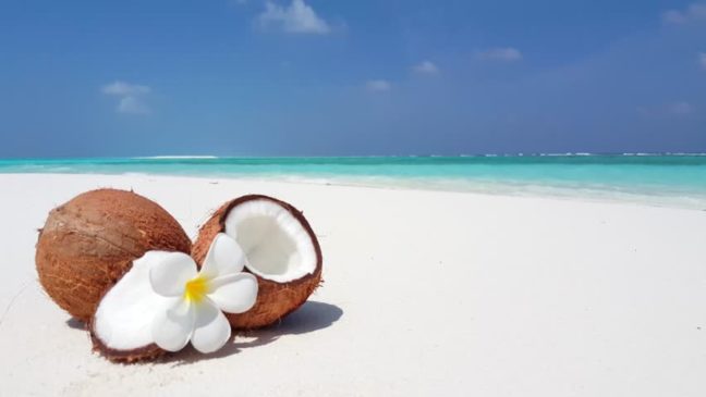 В Доминикане пройдет фестиваль кокосовых орехов