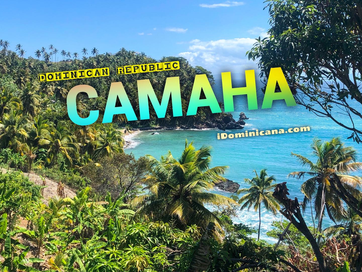 Полуостров Самана Доминикана: киты, пляжи, отели и многое другое