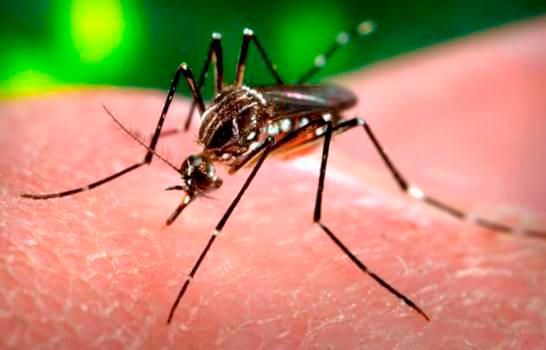 Лихорадка денге в Доминикане 2019 - реальные цифры