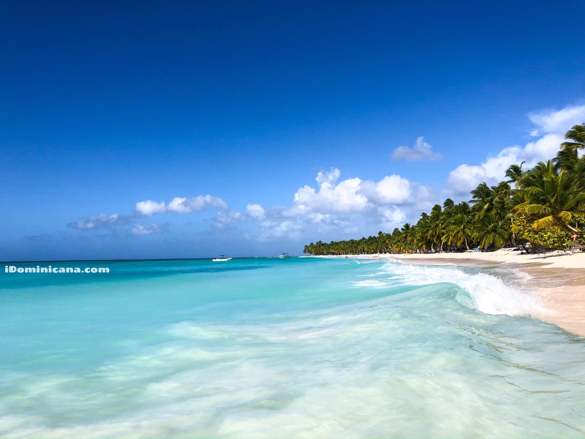 Остров Саона 2020: экскурсии, пляжи, цены, настоящие фото iDominicana.com