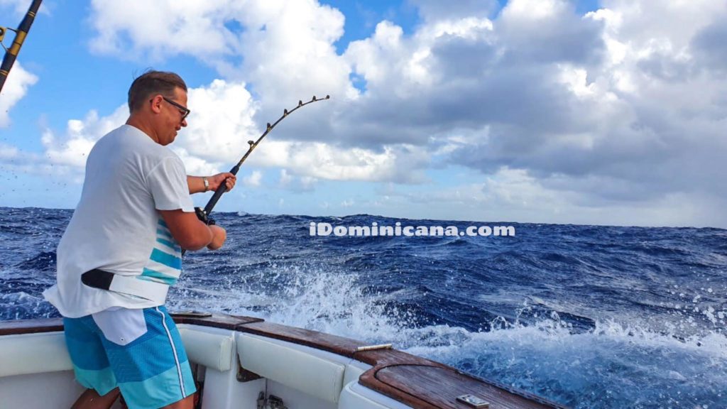 Рыбалка в Доминикане 2020: марлин, частная яхта, фото наших туристов iDominicana.com