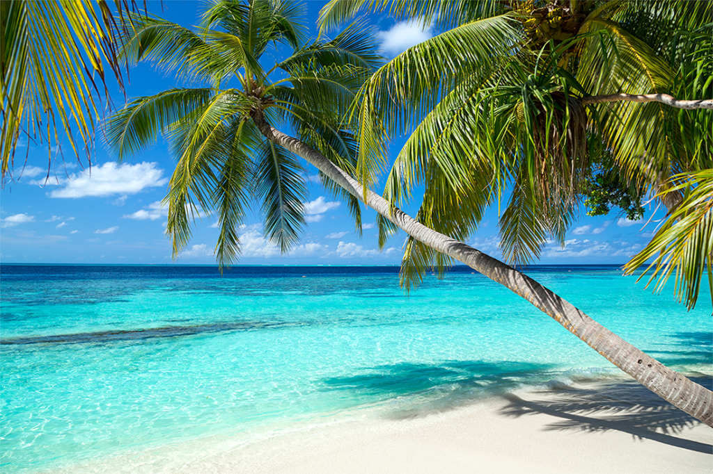 Эксперт: туризм в Карибском море несмотря ни на что будет развиваться