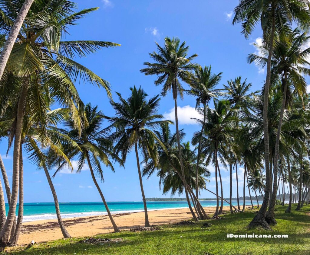 Доминикана: реальные фото пляжей, отелей, туристов 