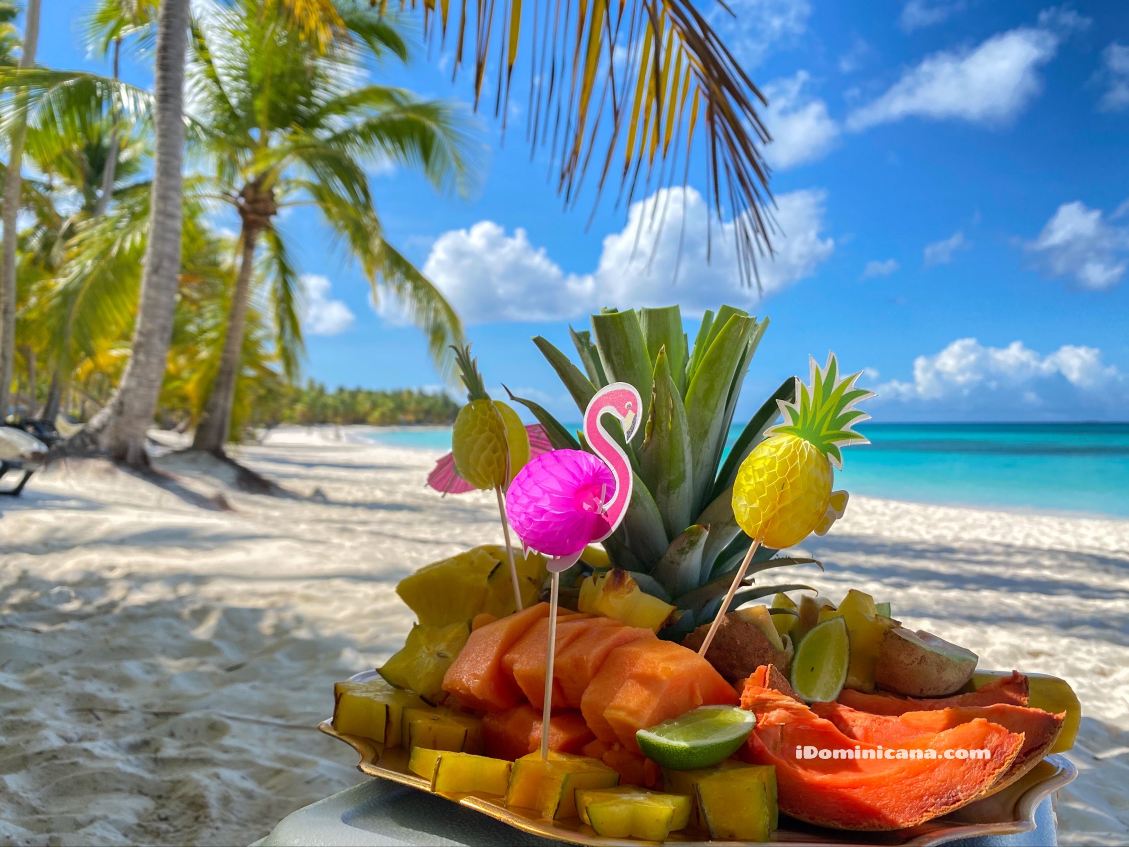 Доминикана летом: правила отдыха, погода, лучшие курорты, реальные фото