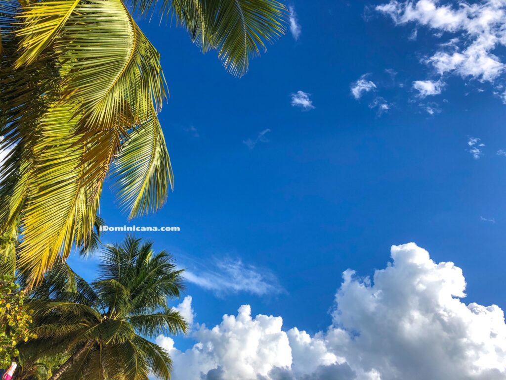 Курорт Ла Романа (Ля Романа) в Республике Доминикана: отели, погода и пляжи