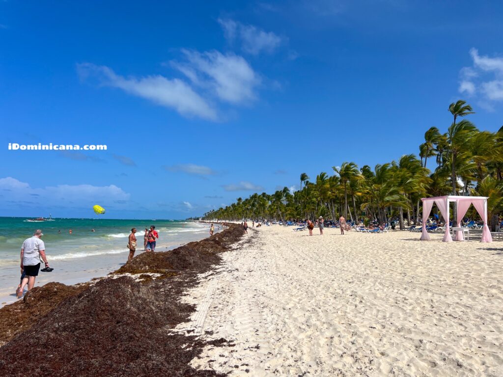 Доминикана летом 2022: правила отдыха, что посмотреть, все про сезон