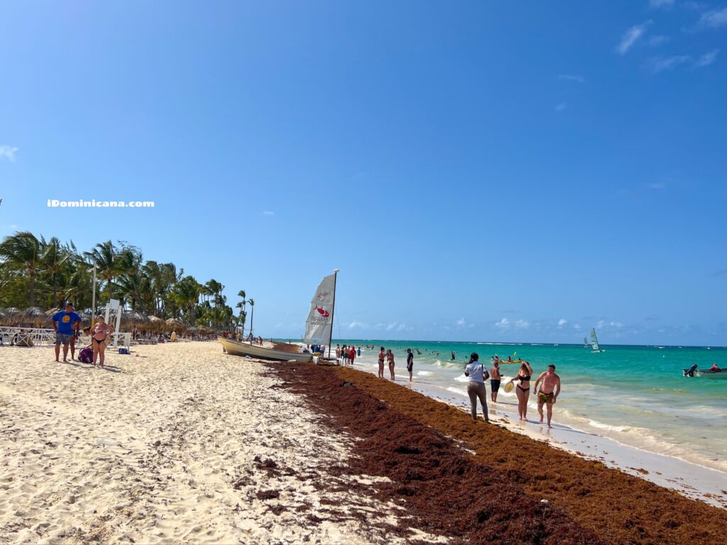 Доминикана летом 2022: правила отдыха, что посмотреть, все про сезон