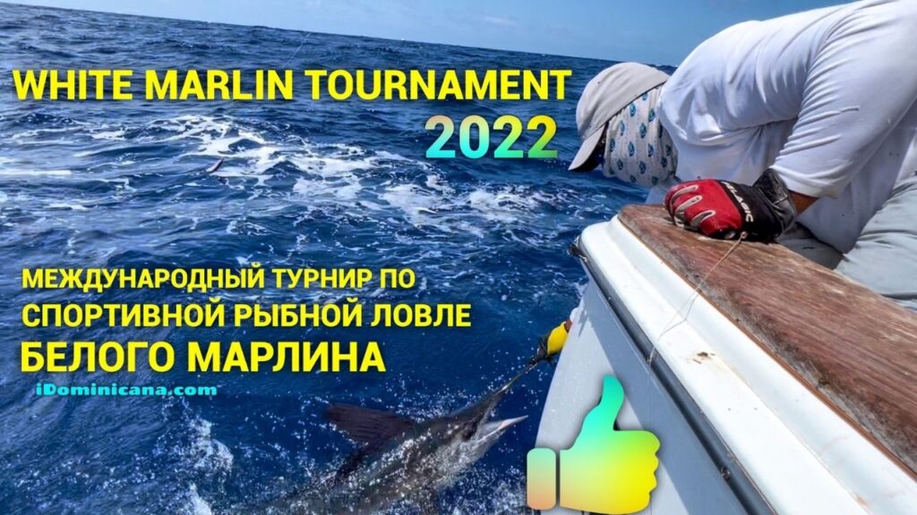 White Marlin Tournament 2022: турнир по ловле белого марлина в Доминикане (ч.2) - ВИДЕО