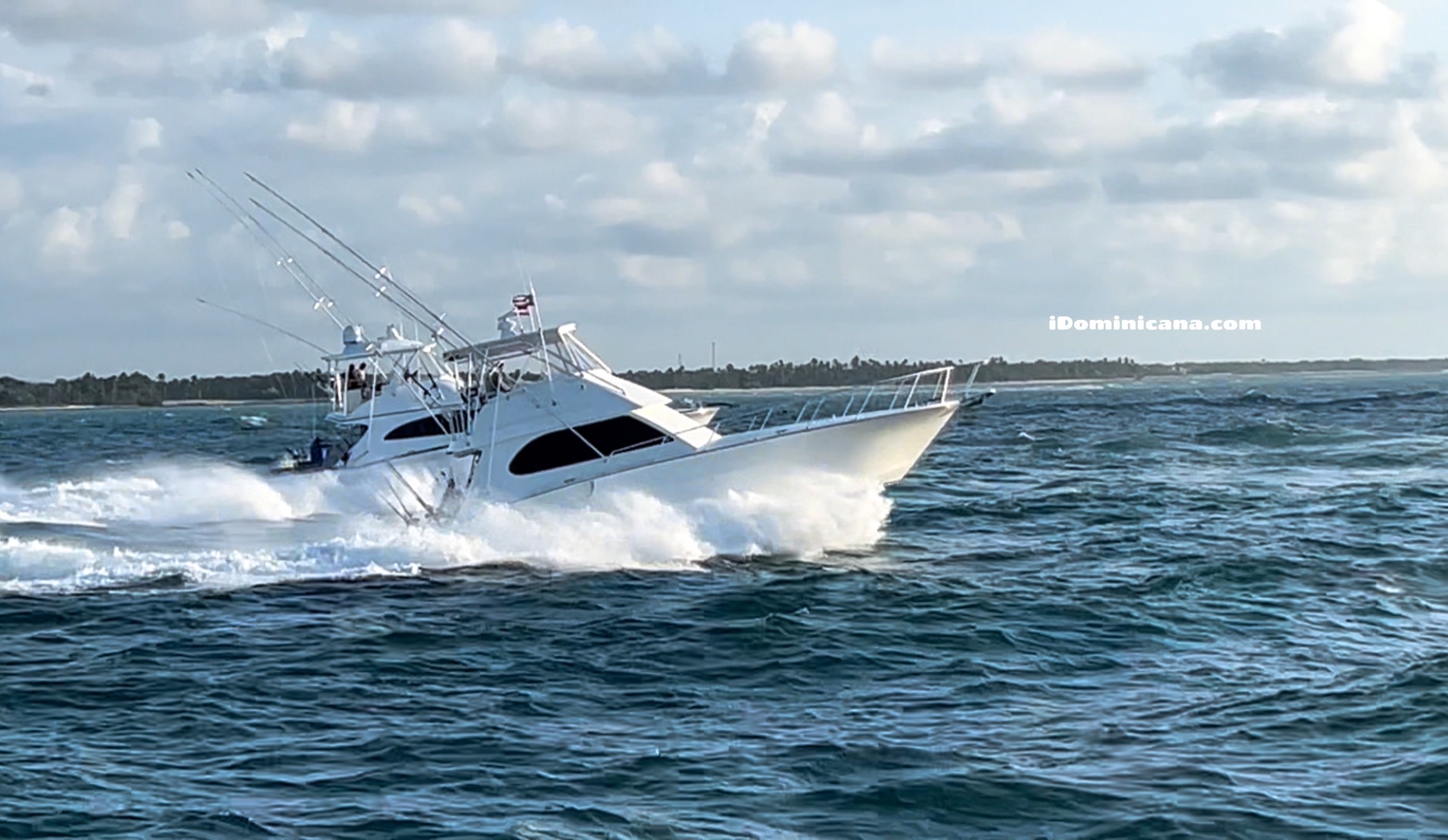 В Доминикане прошел международный турнир по ловле белого марлина White Marlin Tournament 2022