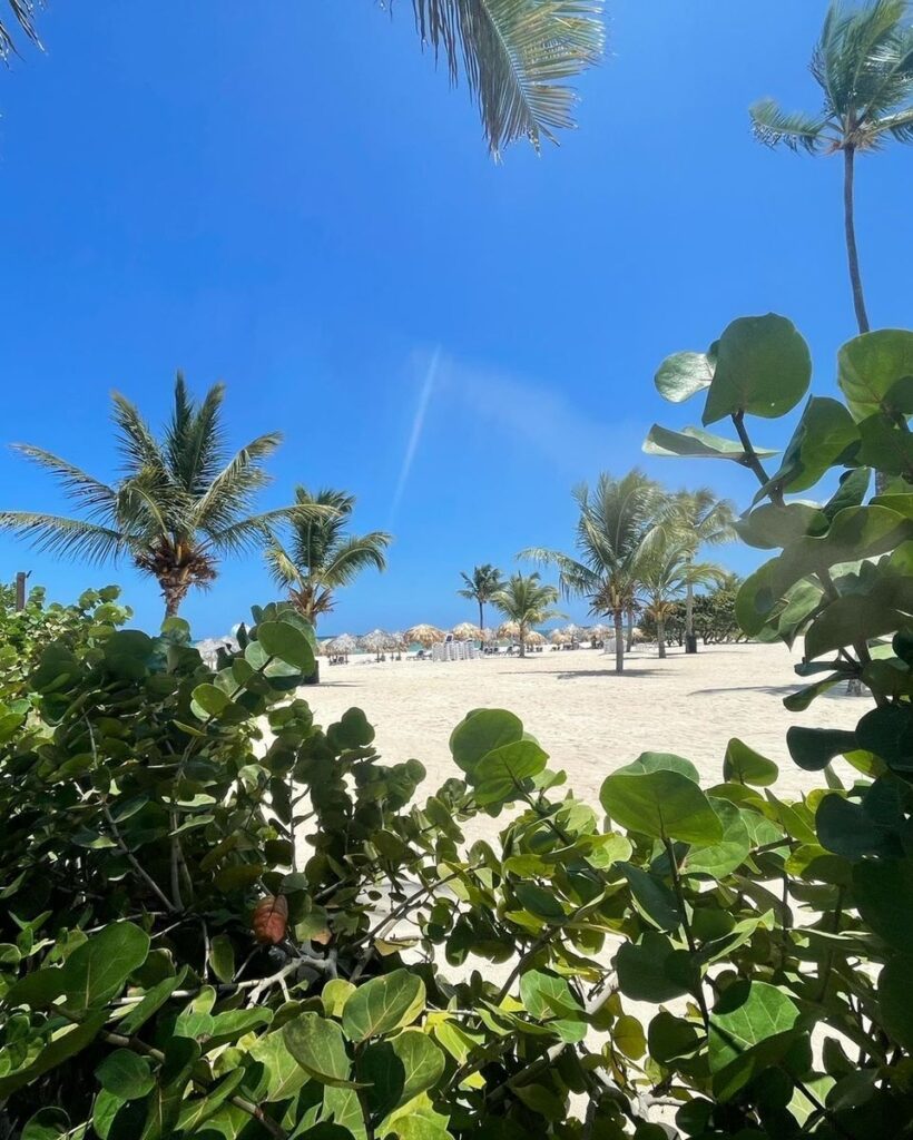 Купить апартаменты в Доминикане на берегу пляжа Баваро
