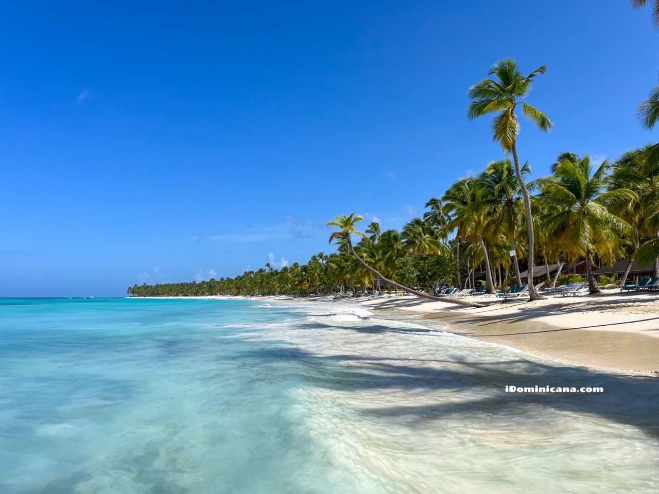 Доминикана в мае 2023: погода, пляжи, водоросли, скидки на недвижимость - ВИДЕО