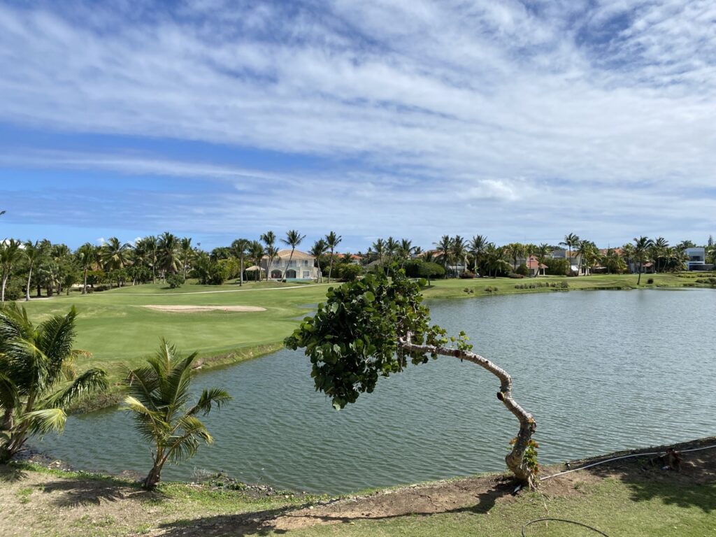 Продается уникальная вилла в Cocotal Golf Club (Доминикана)