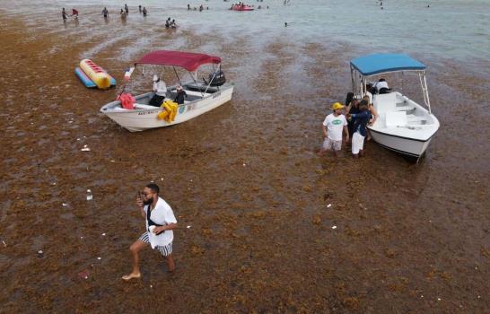 Пляжи курорта Бока-Чика в Доминикане атаковали водоросли