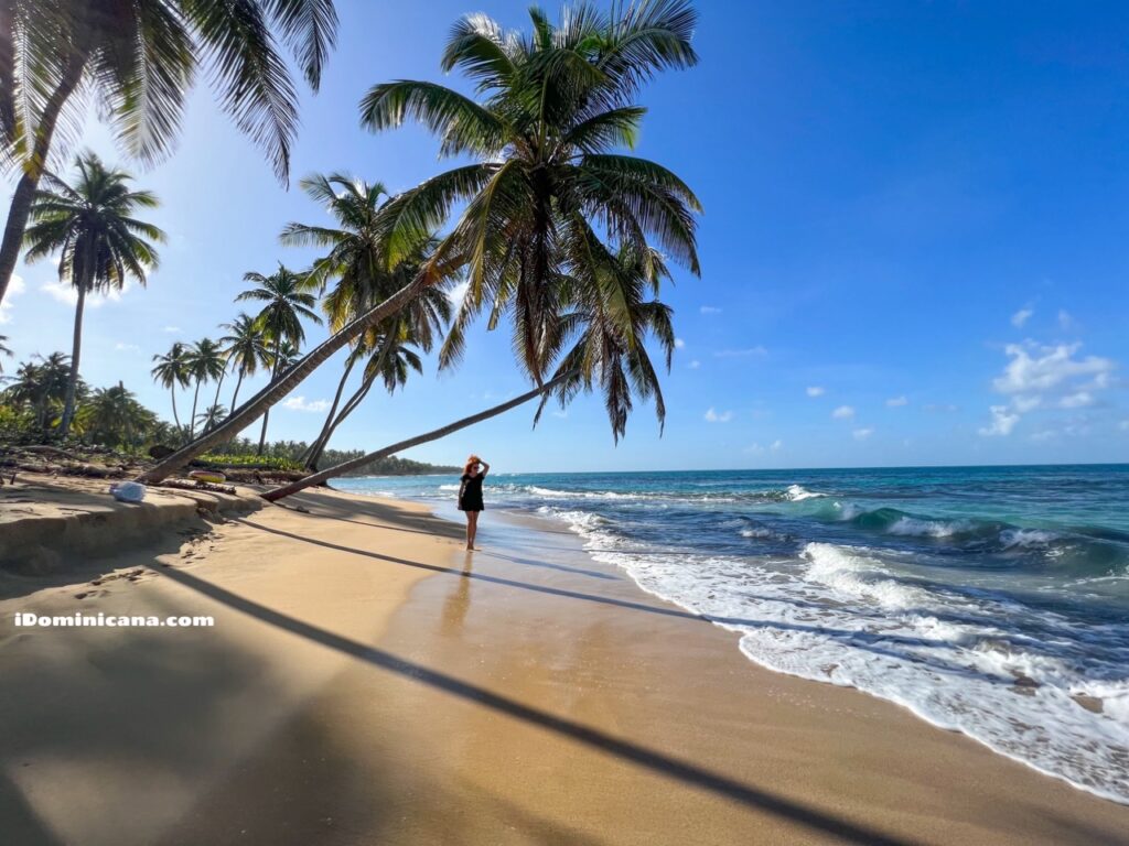Доминикана 2024: отели, цены, экскурсии, погода и ответы на все вопросы