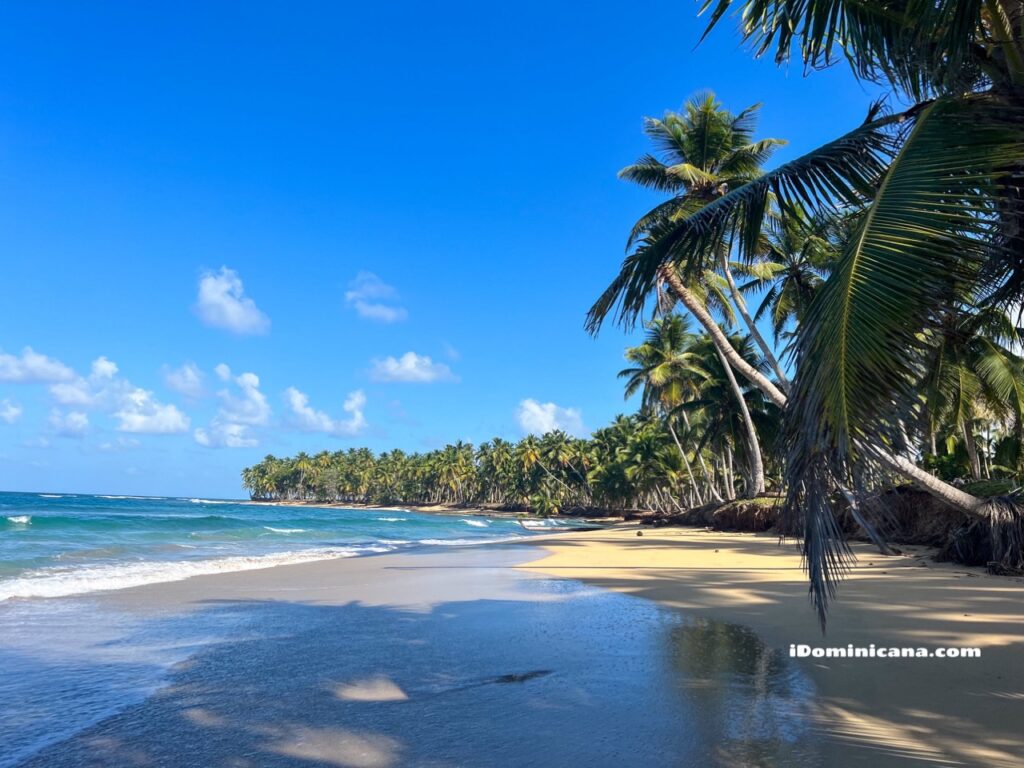 Доминикана 2024: отели, цены, экскурсии, погода и ответы на все вопросы