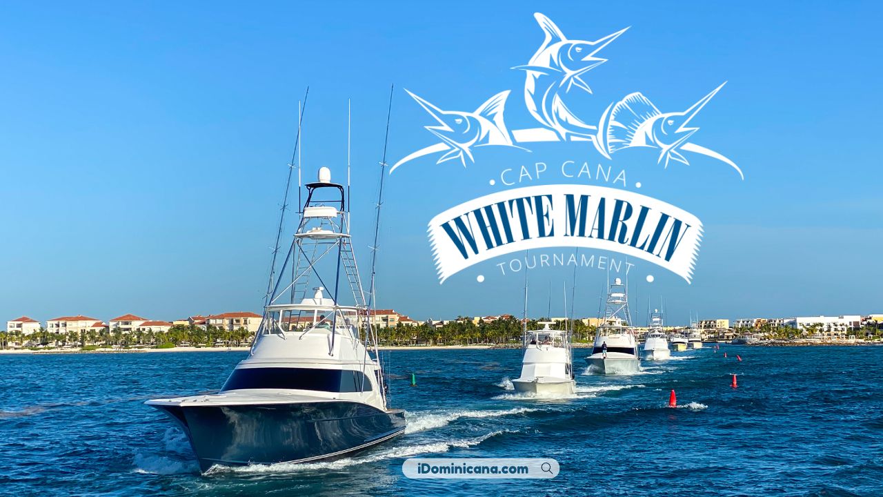 White marlin tournament Cap Cana (2024)