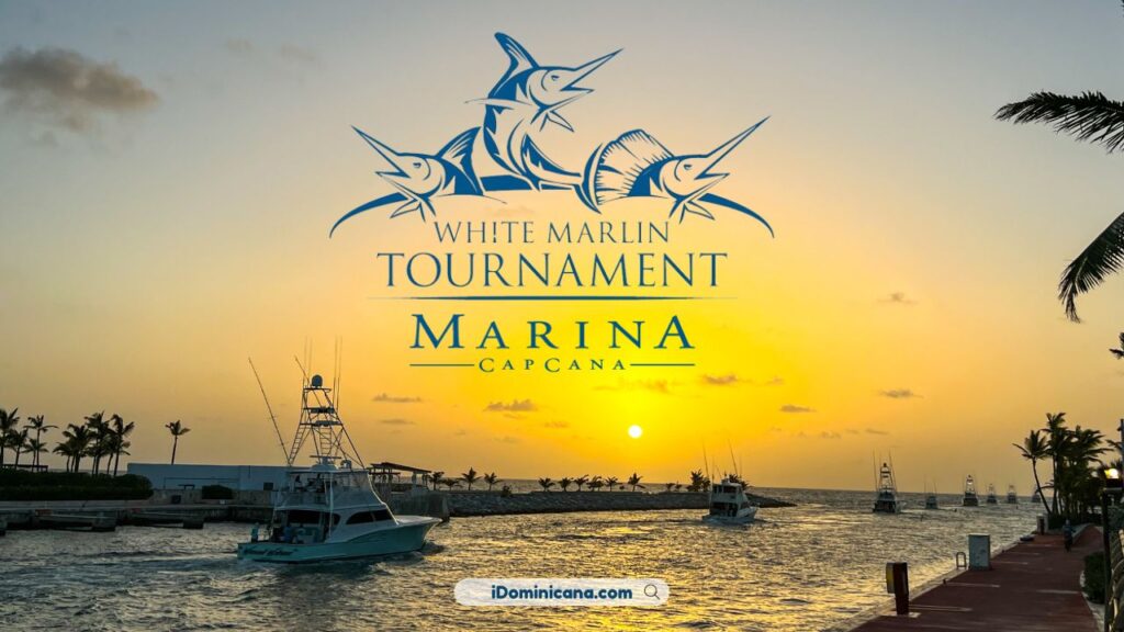 White marlin tournament Cap Cana (2024)