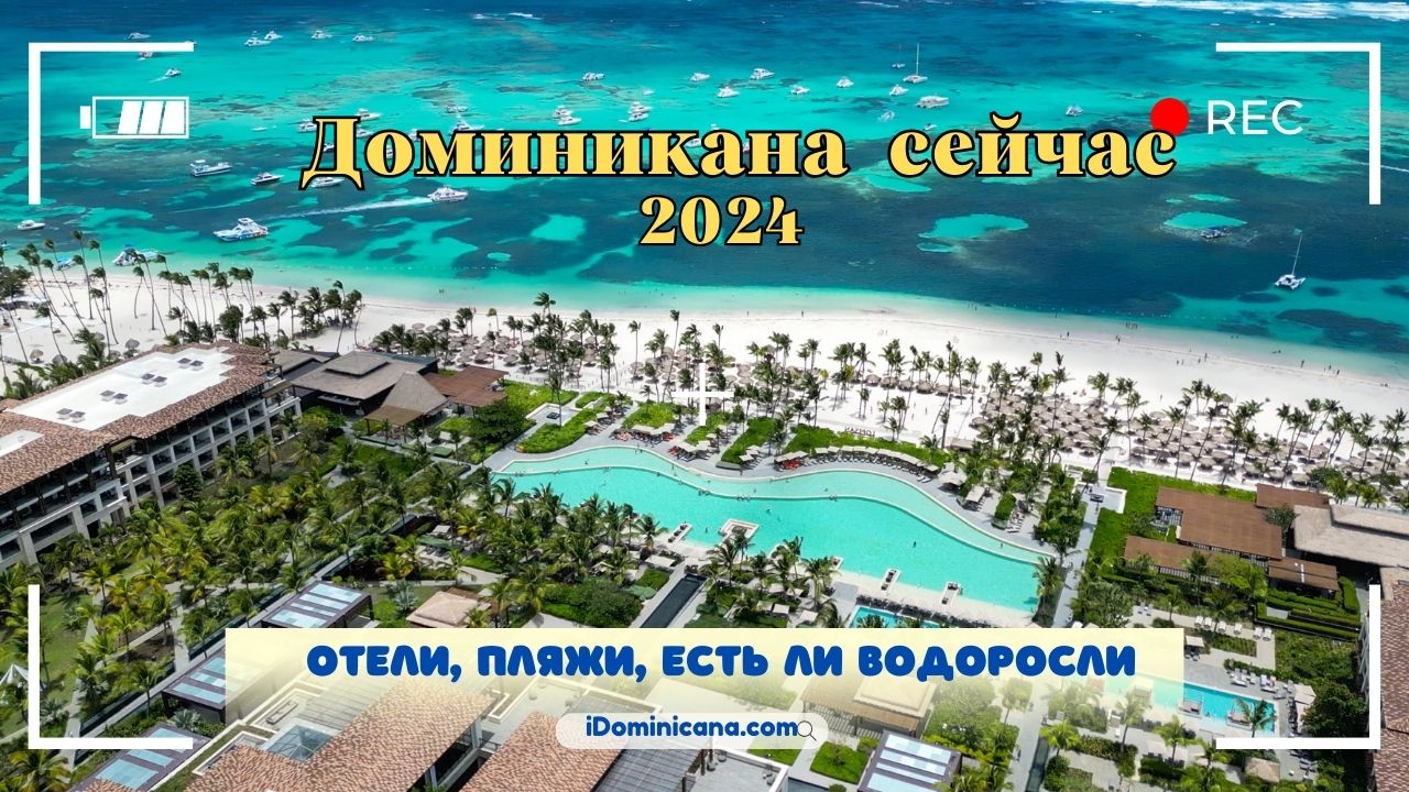 Доминикана сейчас, в мае и летом 2024: отели, пляжи, есть ли водоросли - ВИДЕО