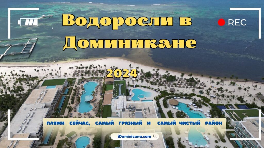 Доминикана: как выглядят пляжи, есть ли водоросли в 2024 году - ВИДЕО